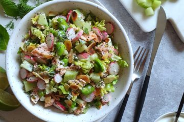 photo culinaire d'une salade au saumon frais, concombre, radis et fèves avec une sauce yaourt et citron vert